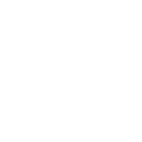 alternative_text